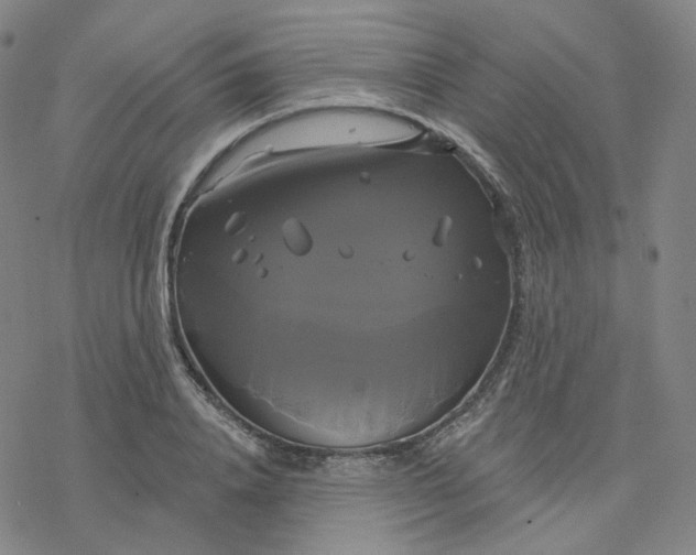 X0000076380840200610271526