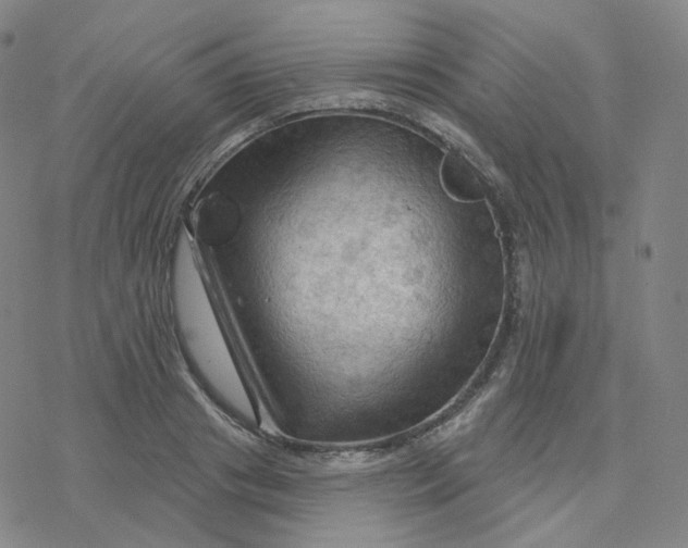 X0000076380841200610271526