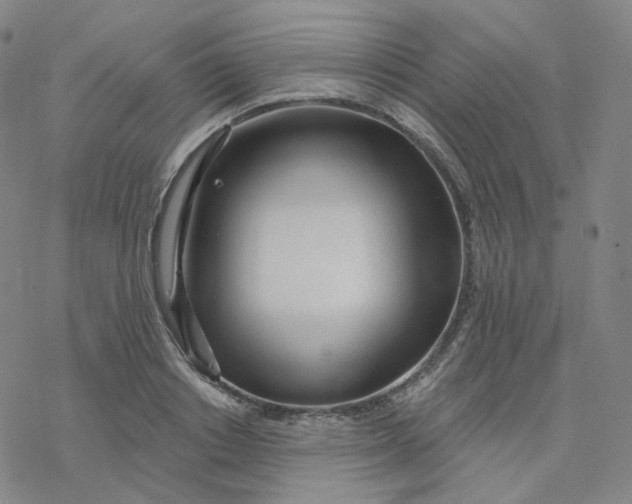 X0000076380842200610271526