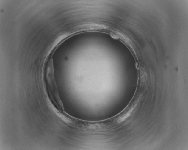 X0000076380843200610271526