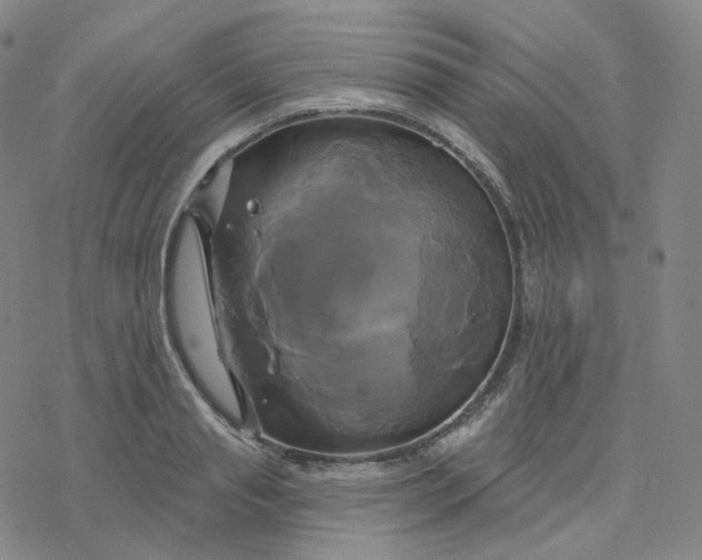 X0000076380845200610271526