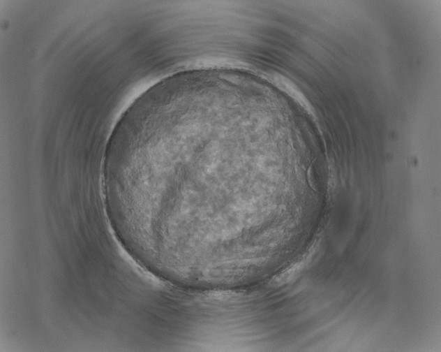 X0000076380847200610271526