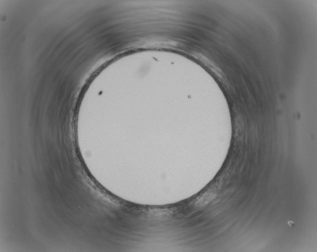 X0000076380848200610271526