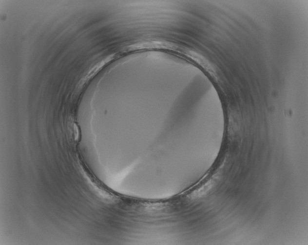 X0000076380849200610271526