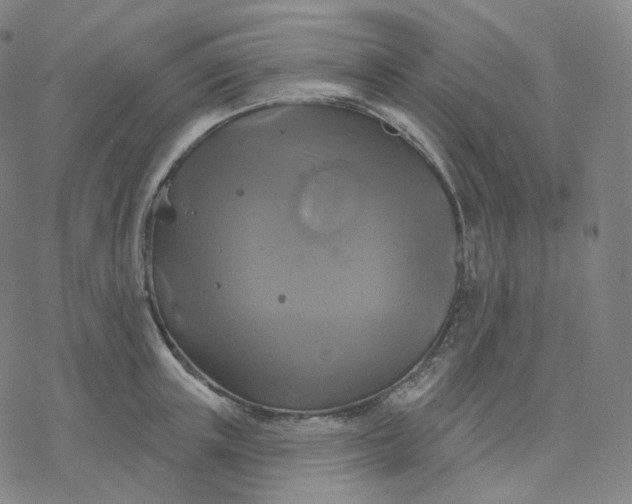 X0000076380851200610271526