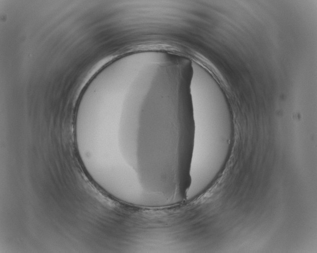 X0000076380852200610271526