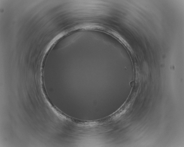 X0000076380853200610271526