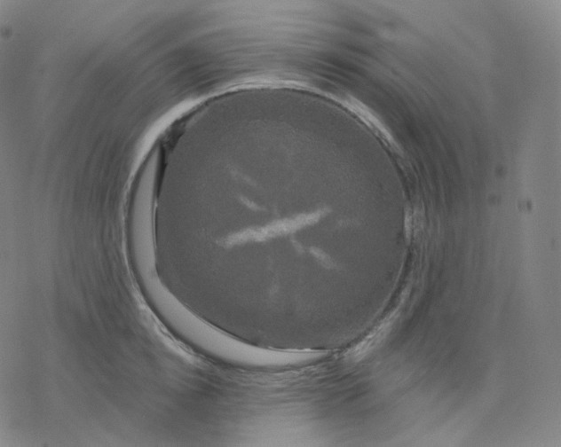 X0000076380854200610271526