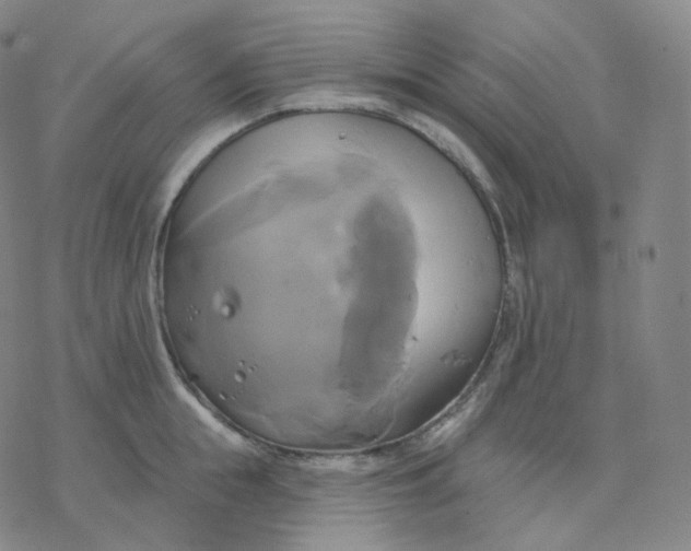 X0000076380855200610271526