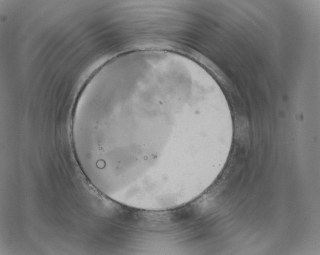 X0000076380856200610271526