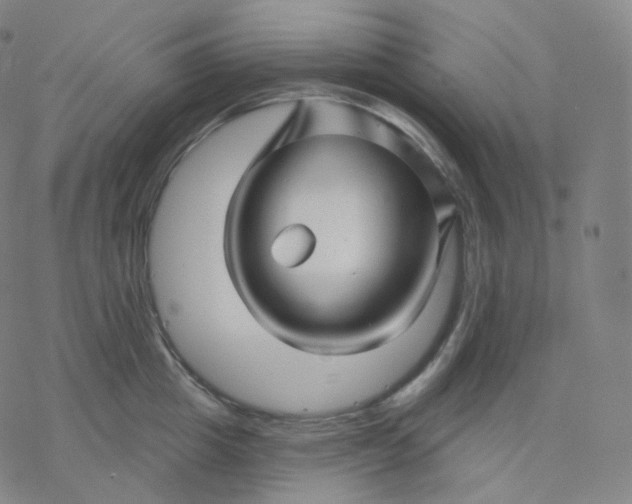 X0000076380857200610271526