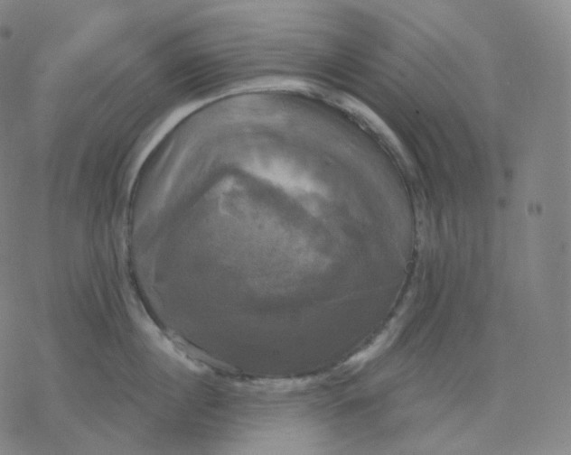 X0000076380860200610271526