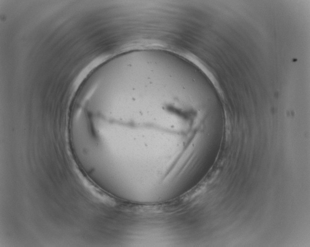 X0000076380861200610271526