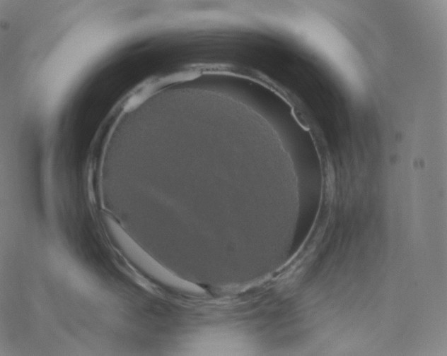 X0000076380862200610271526