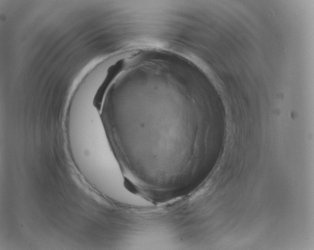 X0000076380864200610271526