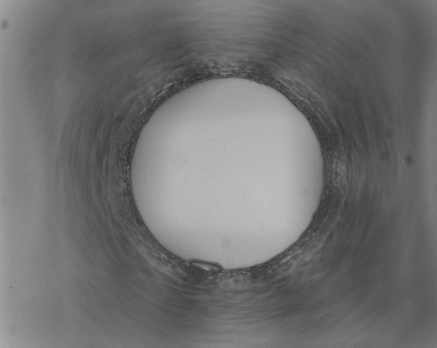 X0000076380865200610271525