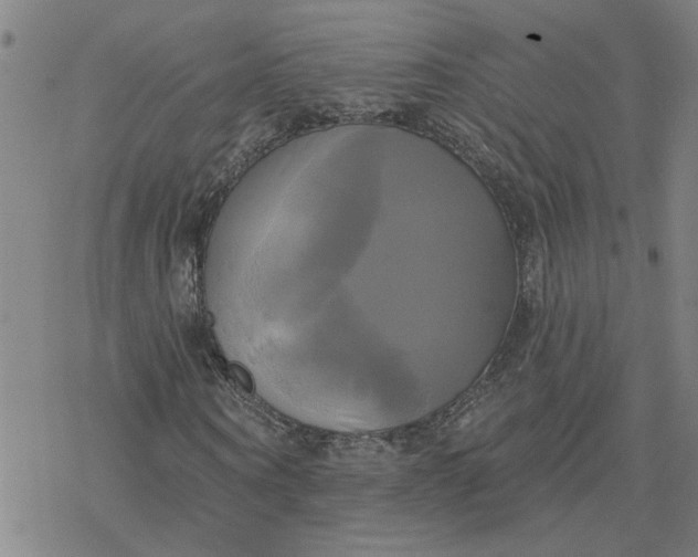 X0000076380866200610271525