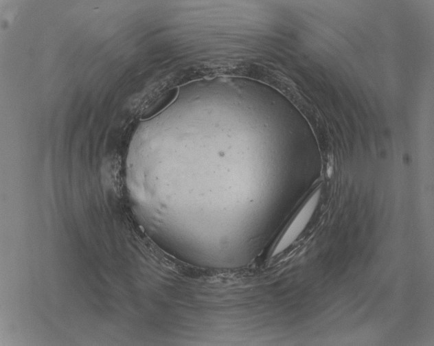 X0000076380867200610271525