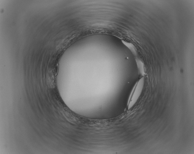 X0000076380868200610271525