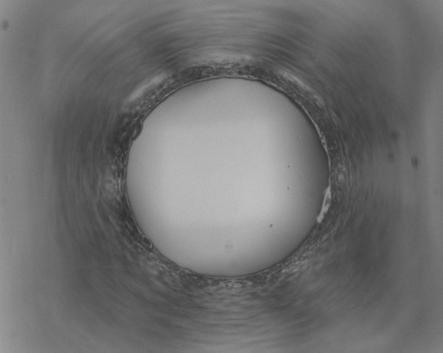 X0000076380869200610271525