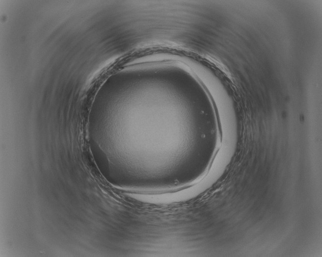 X0000076380872200610271525