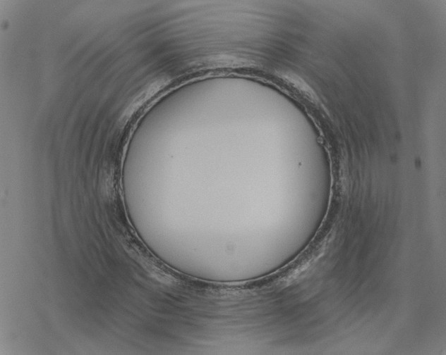 X0000076380873200610271525