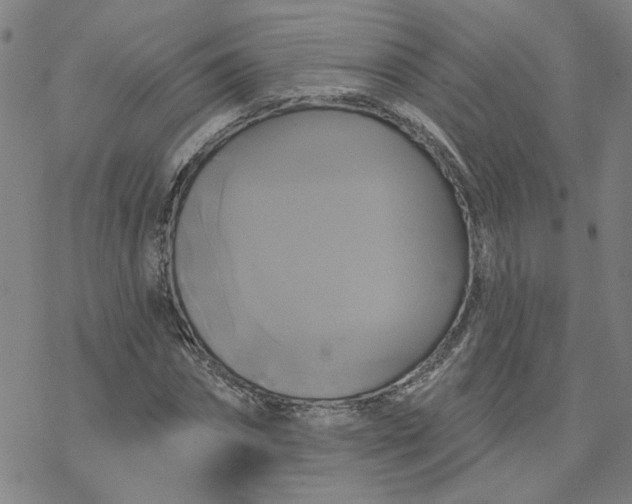 X0000076380874200610271525