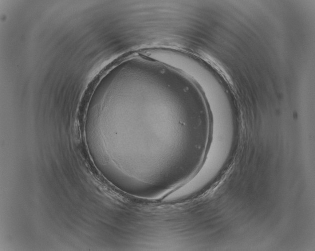 X0000076380876200610271525