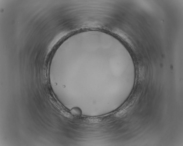 X0000076380878200610271525