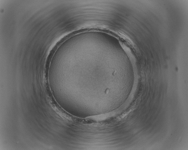 X0000076380880200610271525