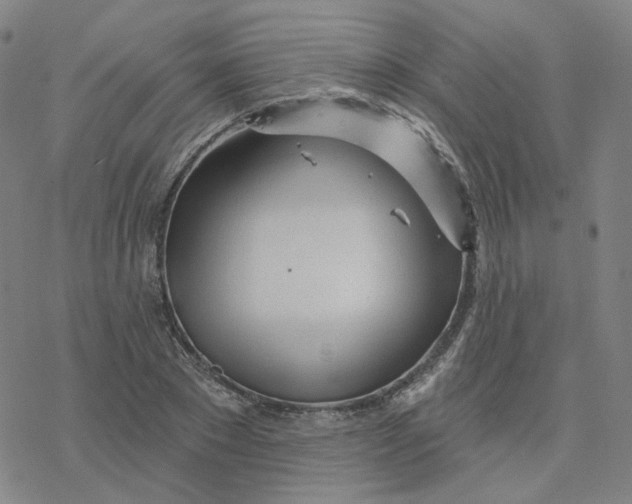 X0000076380881200610271525