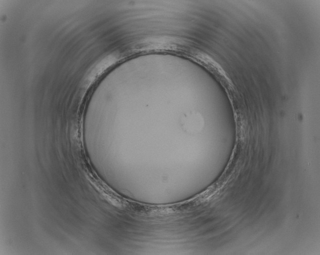 X0000076380882200610271525