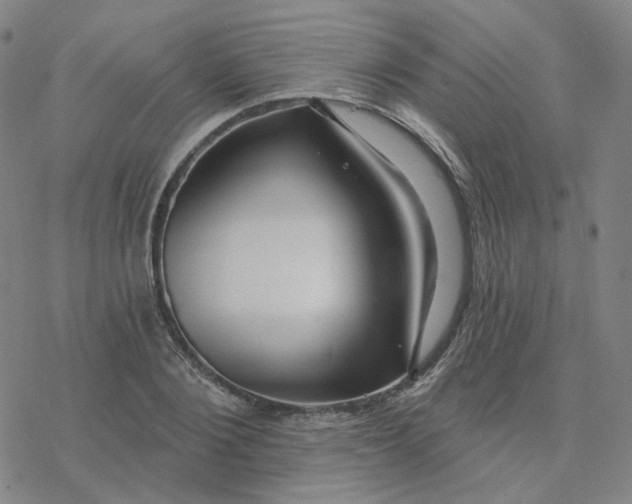 X0000076380884200610271525