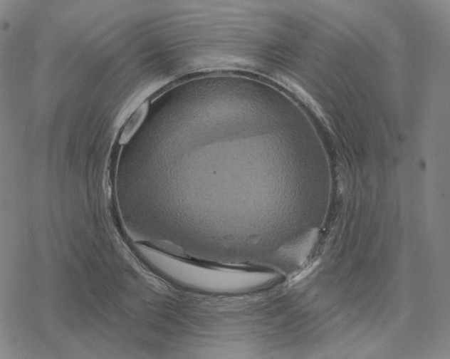 X0000076380885200610271525