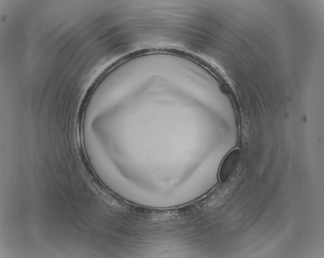 X0000076380887200610271525