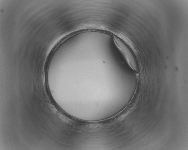 X0000076380888200610271525