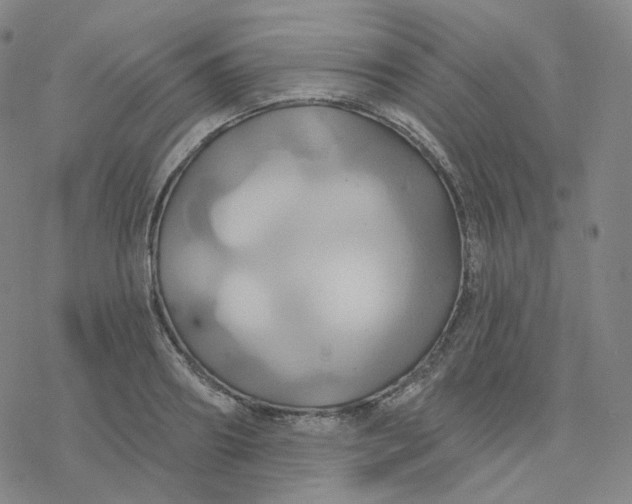 X0000076380890200610271525