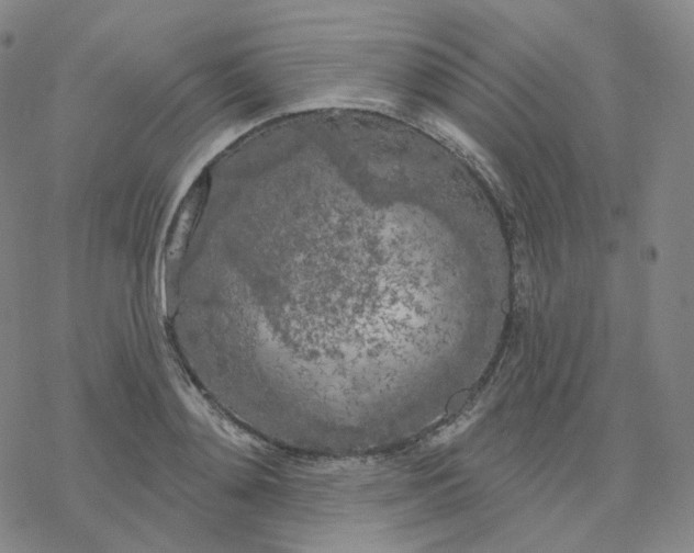 X0000076380892200610271525