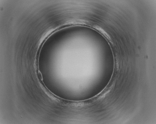 X0000076380893200610271525