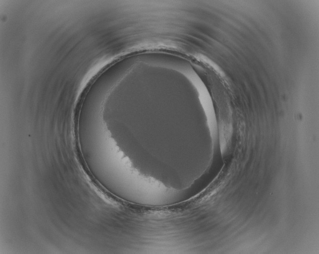 X0000076380894200610271525