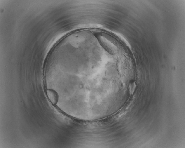 X0000076380895200610271525