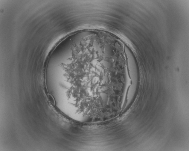 X0000076380896200610271525