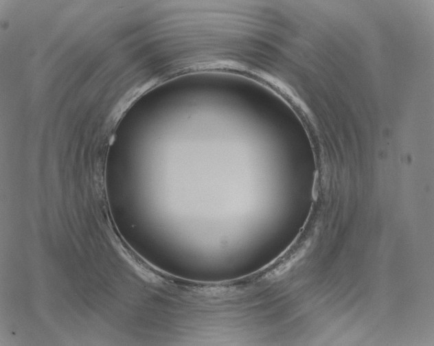 X0000076380897200610271525