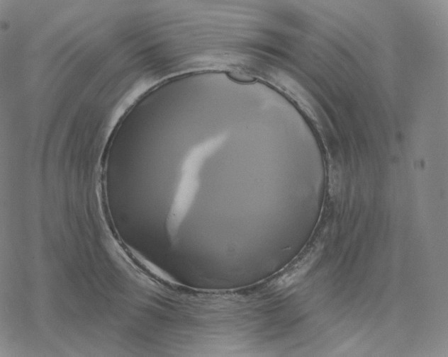 X0000076380899200610271525