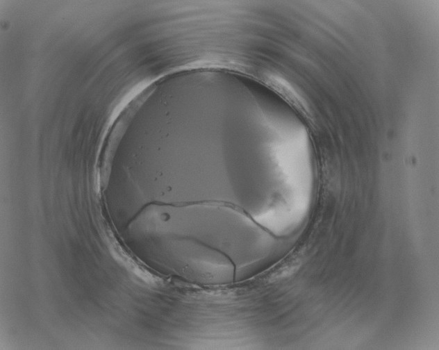 X0000076380900200610271525