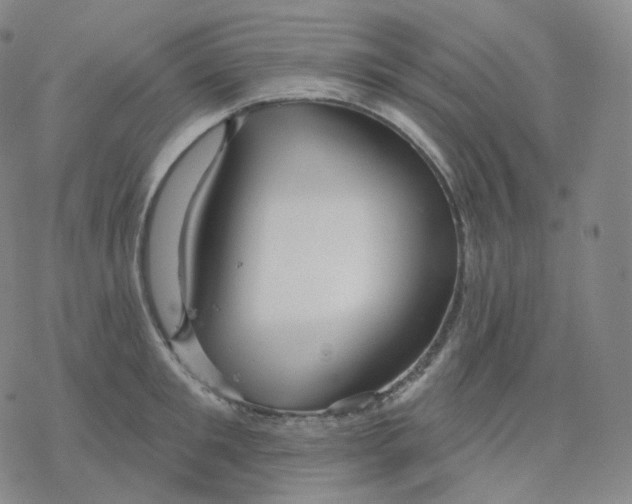 X0000076380901200610271525