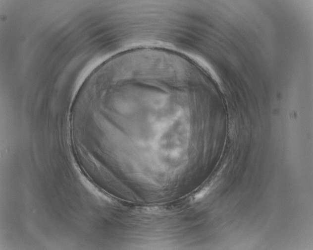 X0000076380903200610271525