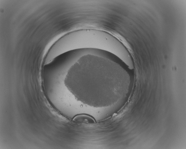 X0000076380904200610271525