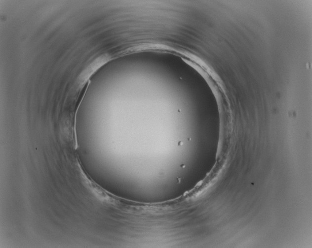 X0000076380905200610271525