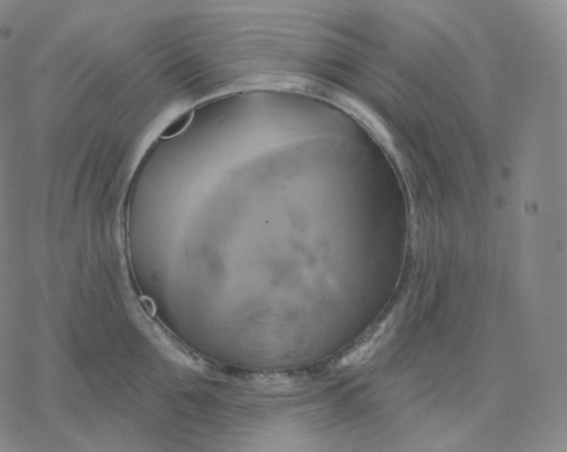 X0000076380907200610271525